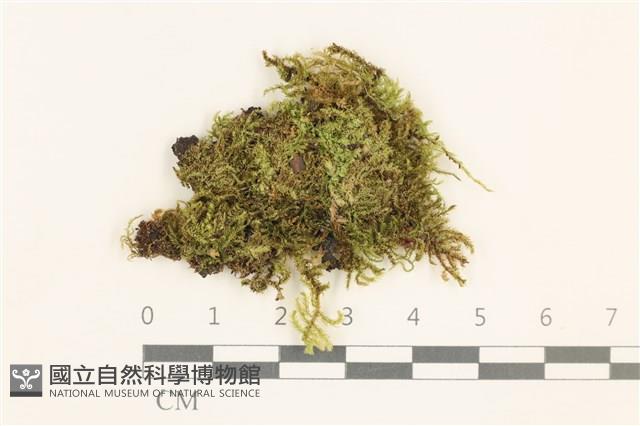 登錄號:B00015829藏品圖，第1張
