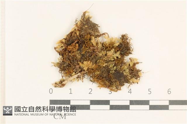 Accession Number:B00005829 Collection Image, Figure 1, Total 2 Figures