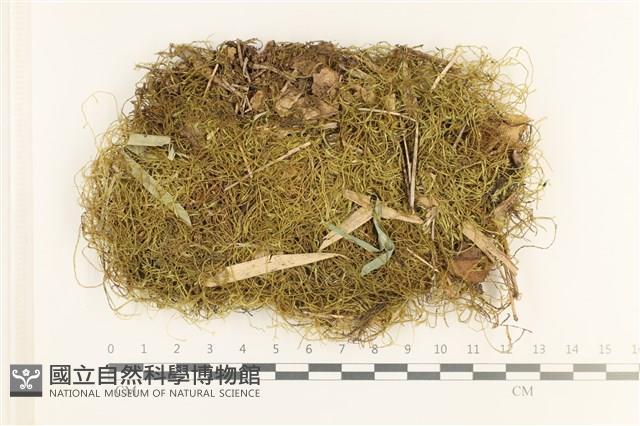 登錄號:B00011079藏品圖，第1張