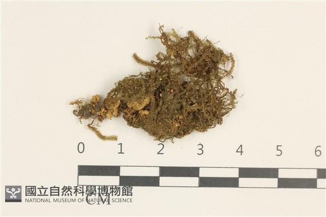 登錄號:B00001179藏品圖，第1張