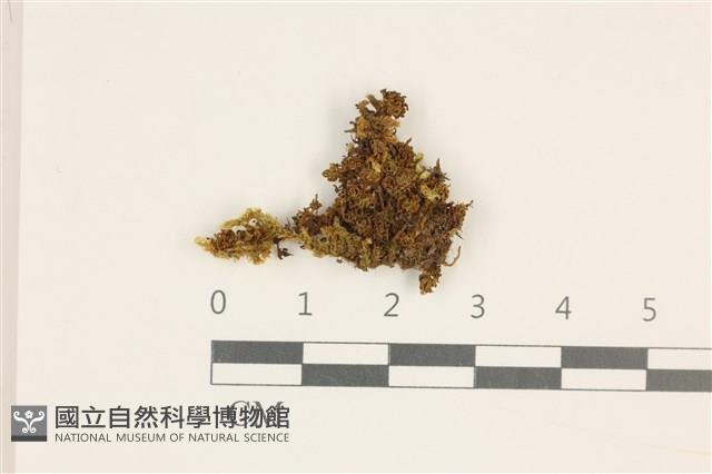 登錄號:B00013879藏品圖，第1張