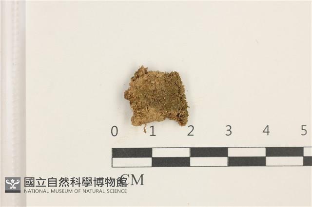 登錄號:B00017899藏品圖，第1張