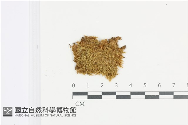 登錄號:B00008969藏品圖，第1張