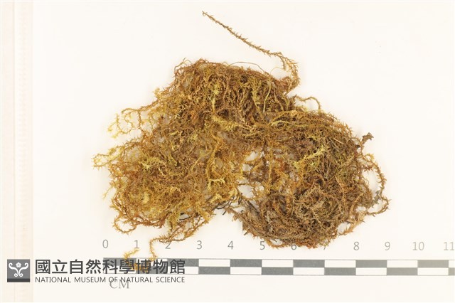 登錄號:B00016969藏品圖，第1張