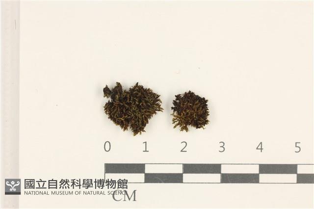 登錄號:B00018869藏品圖，第1張
