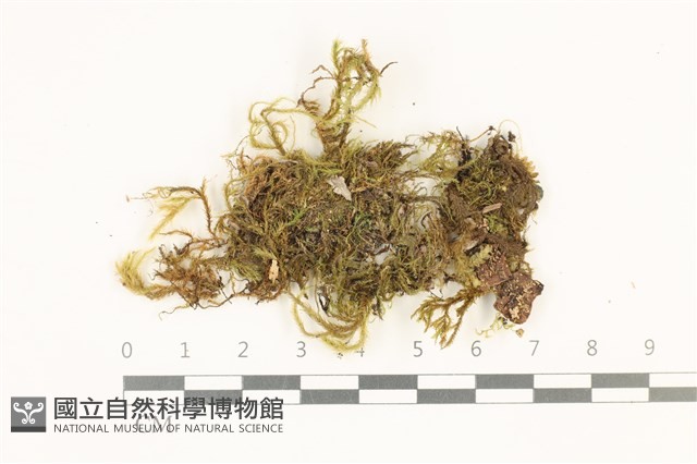 登錄號:B00011909藏品圖，第1張