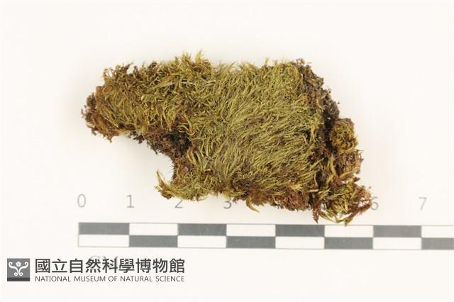 登錄號:B00010989藏品圖，第1張