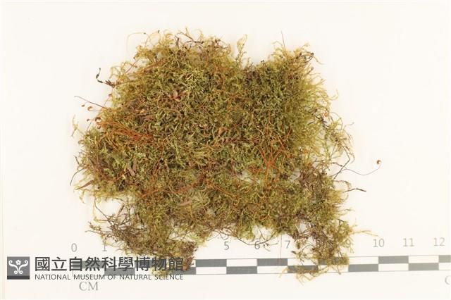 登錄號:B00001036藏品圖，第1張