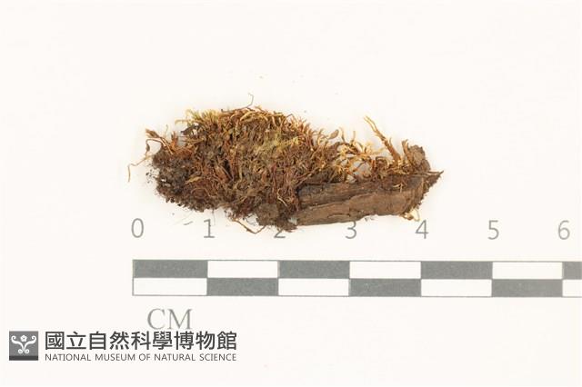 登錄號:B00017936藏品圖，第1張
