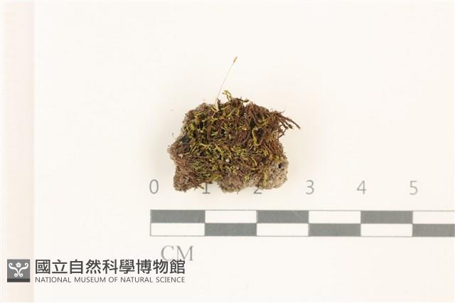 登錄號:B00012836藏品圖，第1張