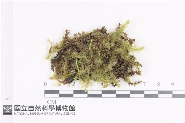 登錄號:B00003056藏品圖，第1張