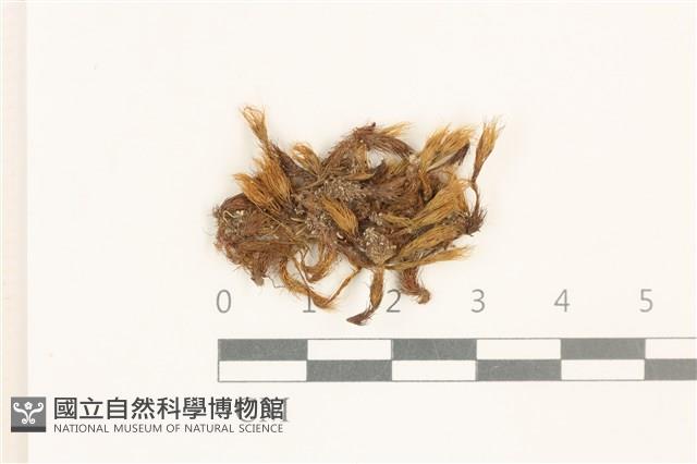 登錄號:B00008856藏品圖，第1張