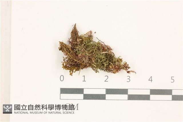 登錄號:B00000856藏品圖，第1張