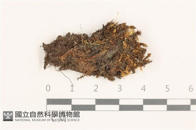 登錄號:B00003026藏品圖，第1張