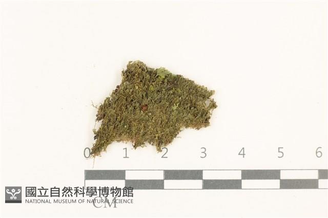 登錄號:B00021126藏品圖，第1張