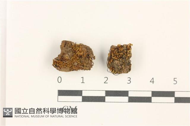 登錄號:B00017926藏品圖，第1張