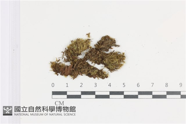 登錄號:B00011926藏品圖，第1張
