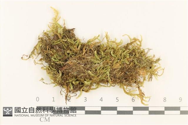 登錄號:B00010926藏品圖，第1張