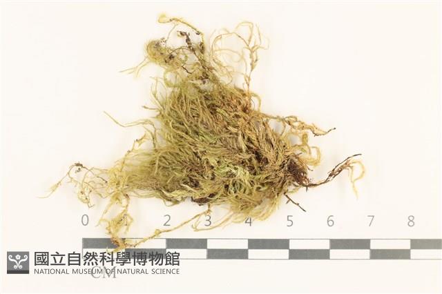 登錄號:B00015826藏品圖，第1張
