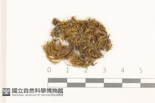 登錄號:B00008976藏品圖，第1張