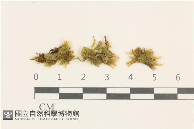 登錄號:B00011976藏品圖，第1張