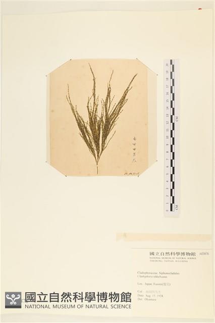 登錄號:A00003876藏品圖，第1張