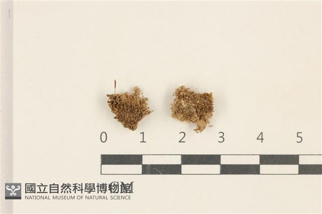 登錄號:B00010016藏品圖，第1張