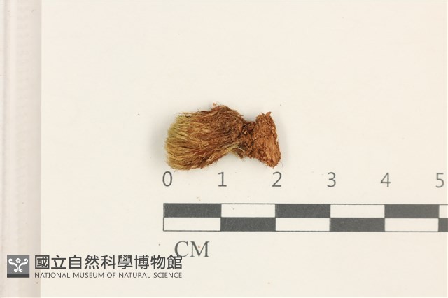 登錄號:B00003016藏品圖，第1張