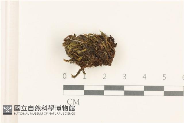 登錄號:B00020816藏品圖，第1張
