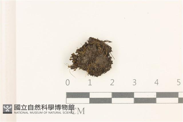 登錄號:B00000296藏品圖，第1張