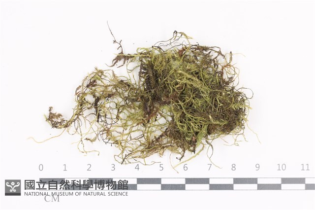登錄號:B00004096藏品圖，第1張