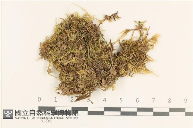 Accession Number:B00013096 Collection Image, Figure 1, Total 2 Figures