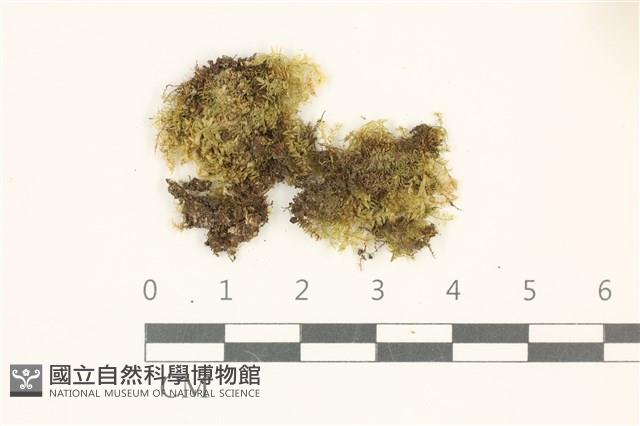 登錄號:B00010996藏品圖，第1張