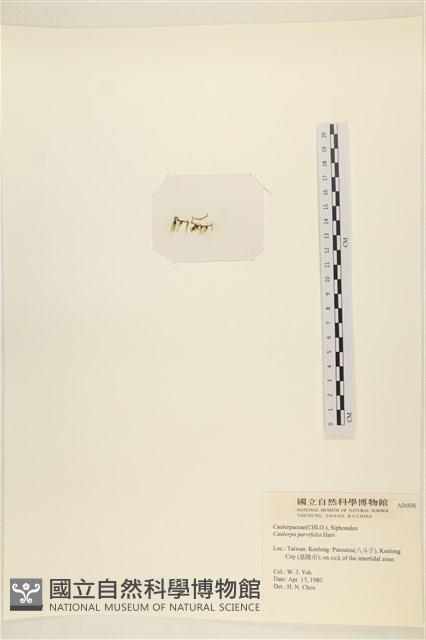 登錄號:A00004896藏品圖，第3張