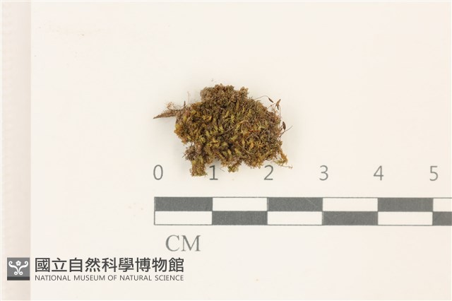 登錄號:B00014046藏品圖，第1張