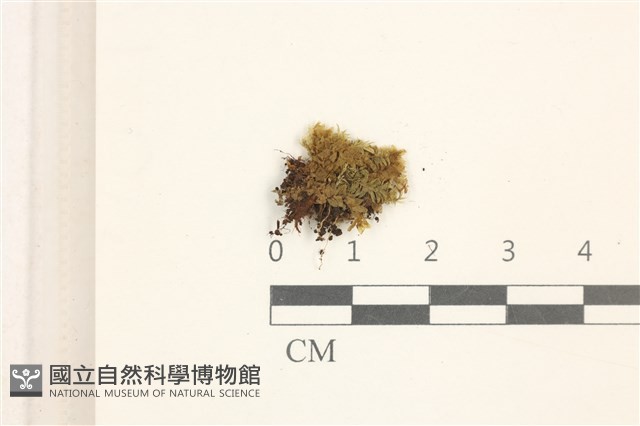 登錄號:B00005046藏品圖，第1張