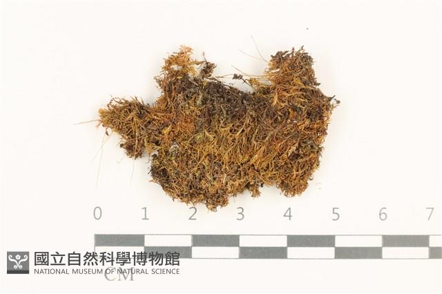 登錄號:B00017946藏品圖，第1張