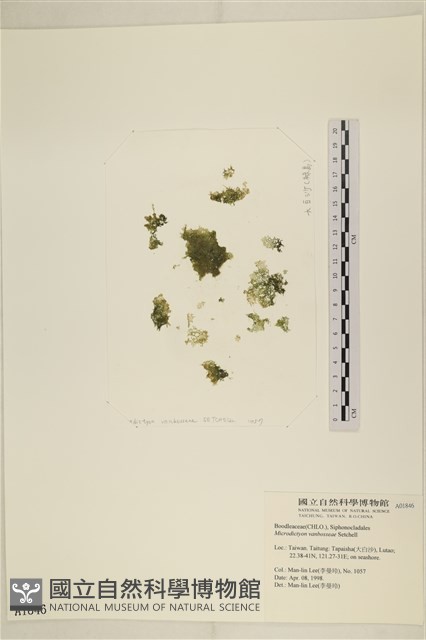 登錄號:A00001846藏品圖，第1張