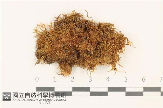 登錄號:B00014066藏品圖，第1張