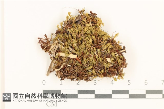 登錄號:B00010966藏品圖，第1張