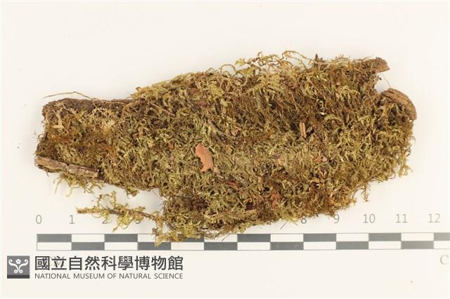 登錄號:B00019866藏品圖，第1張