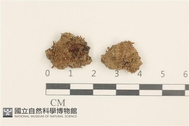 登錄號:B00014866藏品圖，第1張