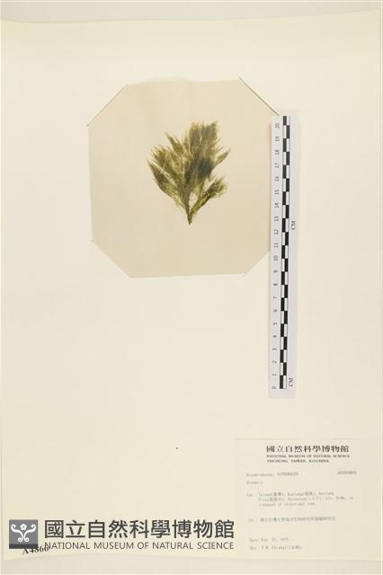 登錄號:A00004866藏品圖，第3張