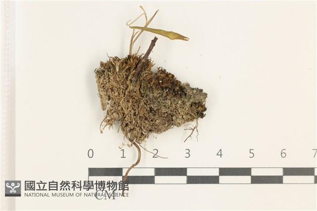 登錄號:B00017906藏品圖，第1張