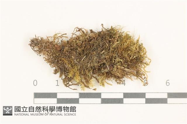 登錄號:B00014086藏品圖，第1張