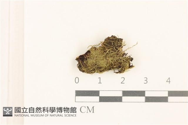 登錄號:B00005086藏品圖，第1張