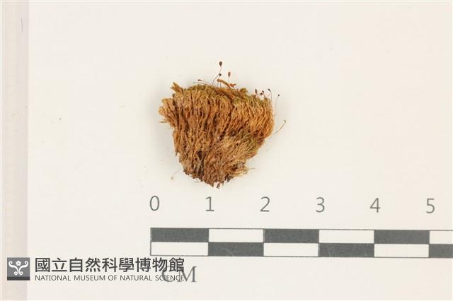登錄號:B00017886藏品圖，第1張