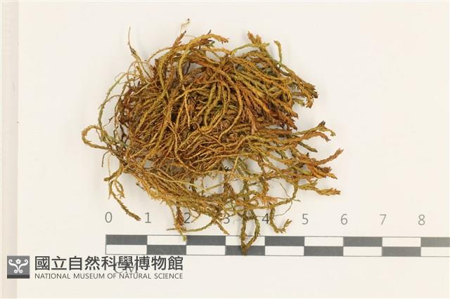 登錄號:B00011886藏品圖，第1張