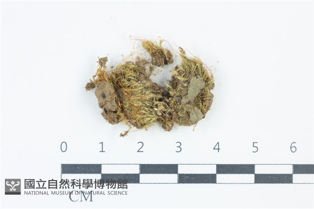 登錄號:B00001886藏品圖，第1張
