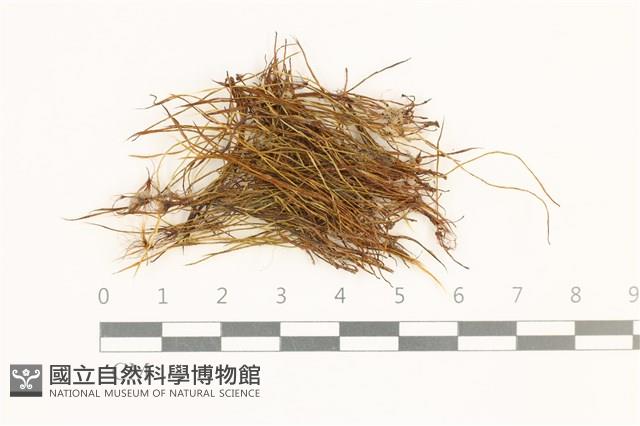 Accession Number:B00016934 Collection Image, Figure 1, Total 2 Figures